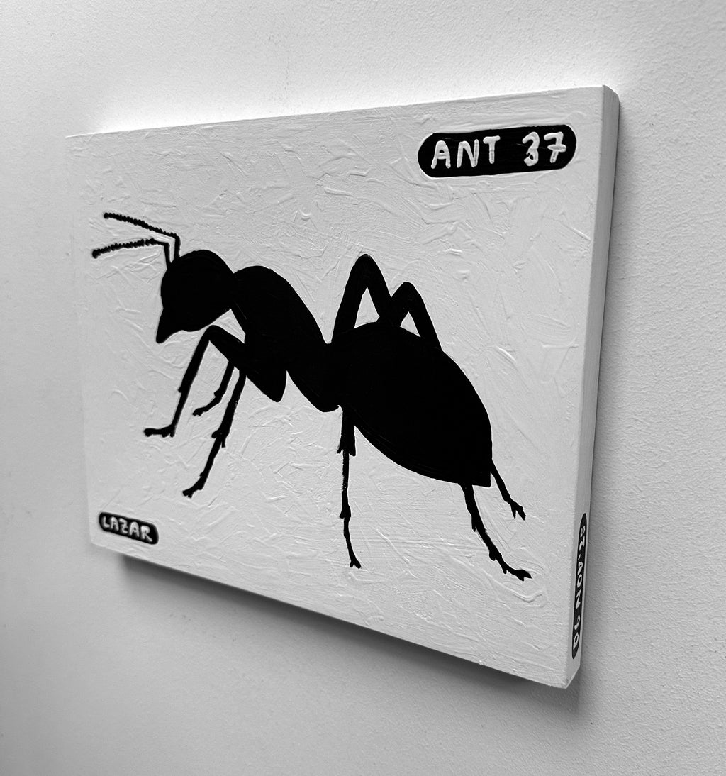 Ant #37