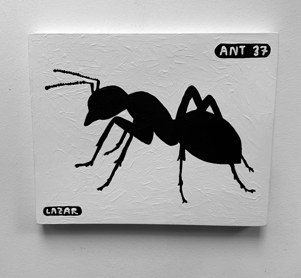 Ant #37