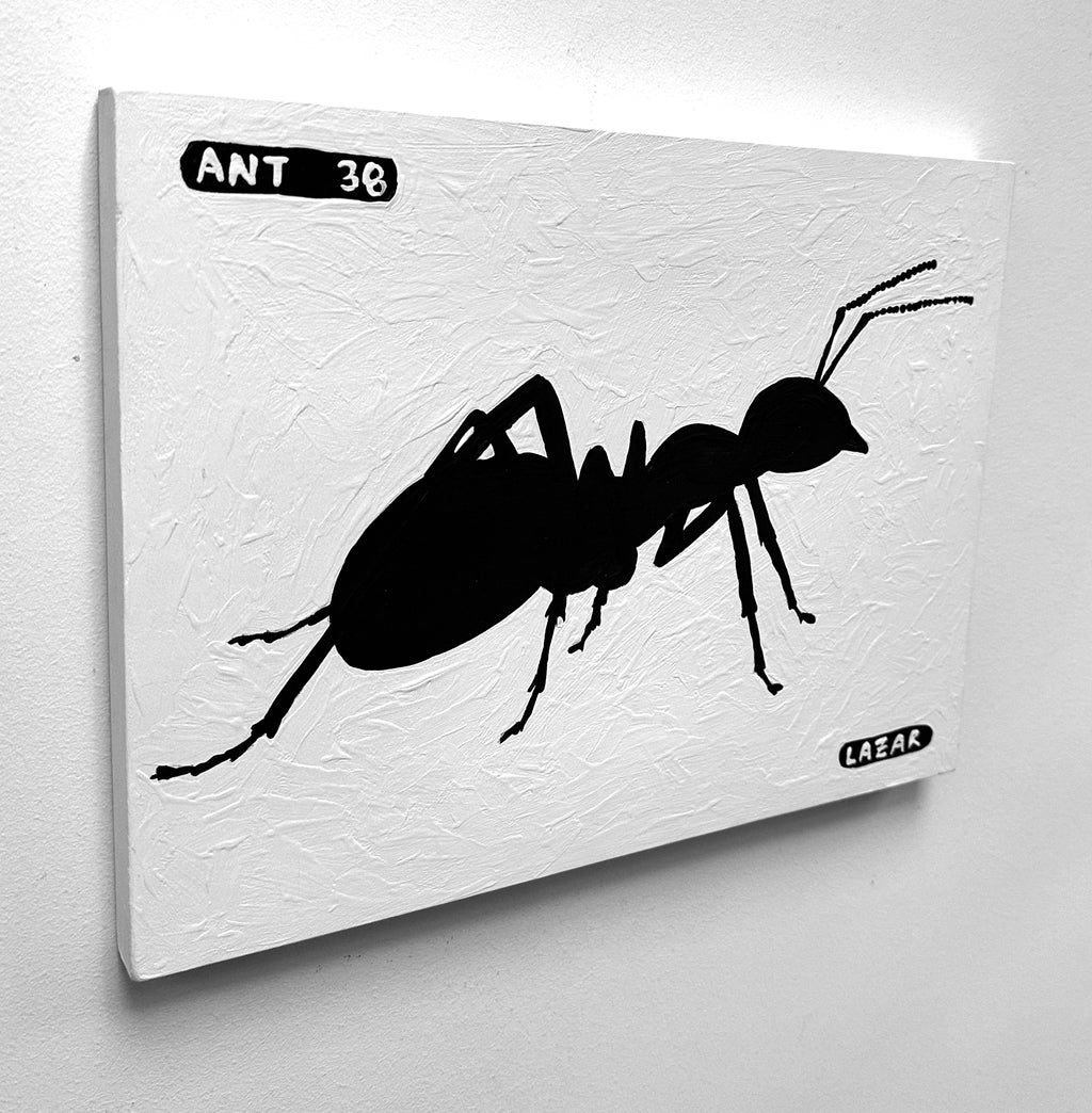 Ant #38