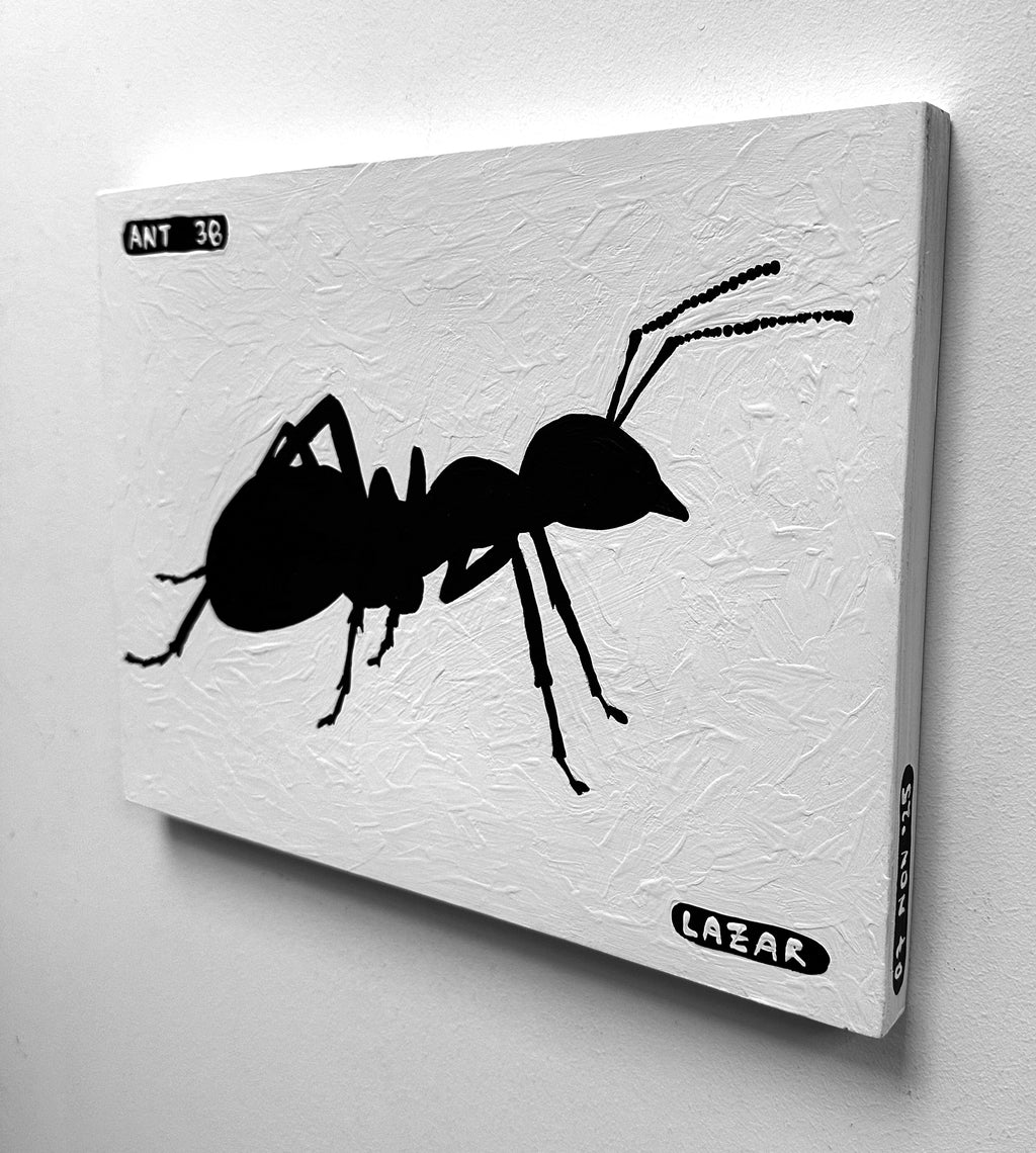 Ant #38