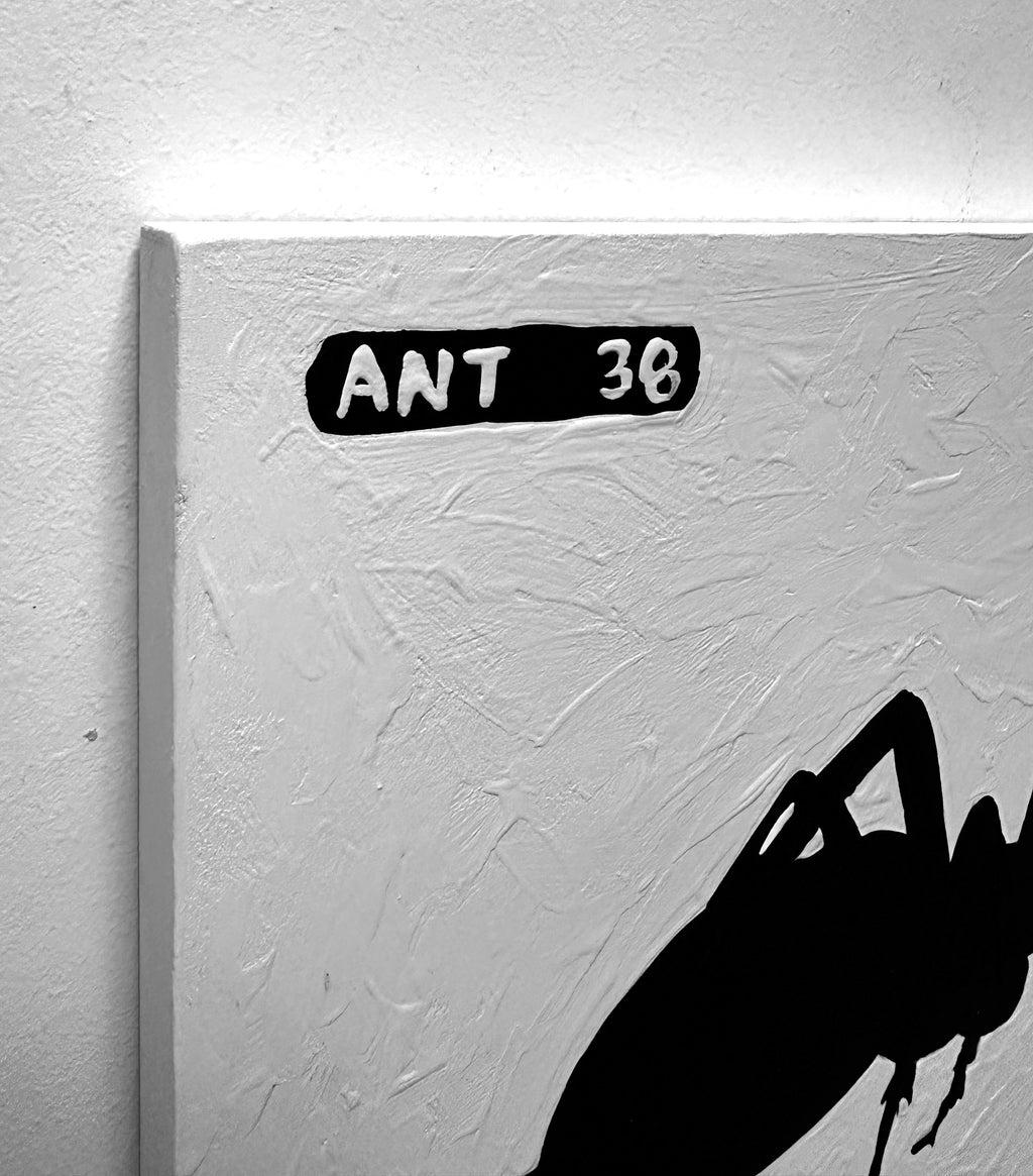 Ant #38