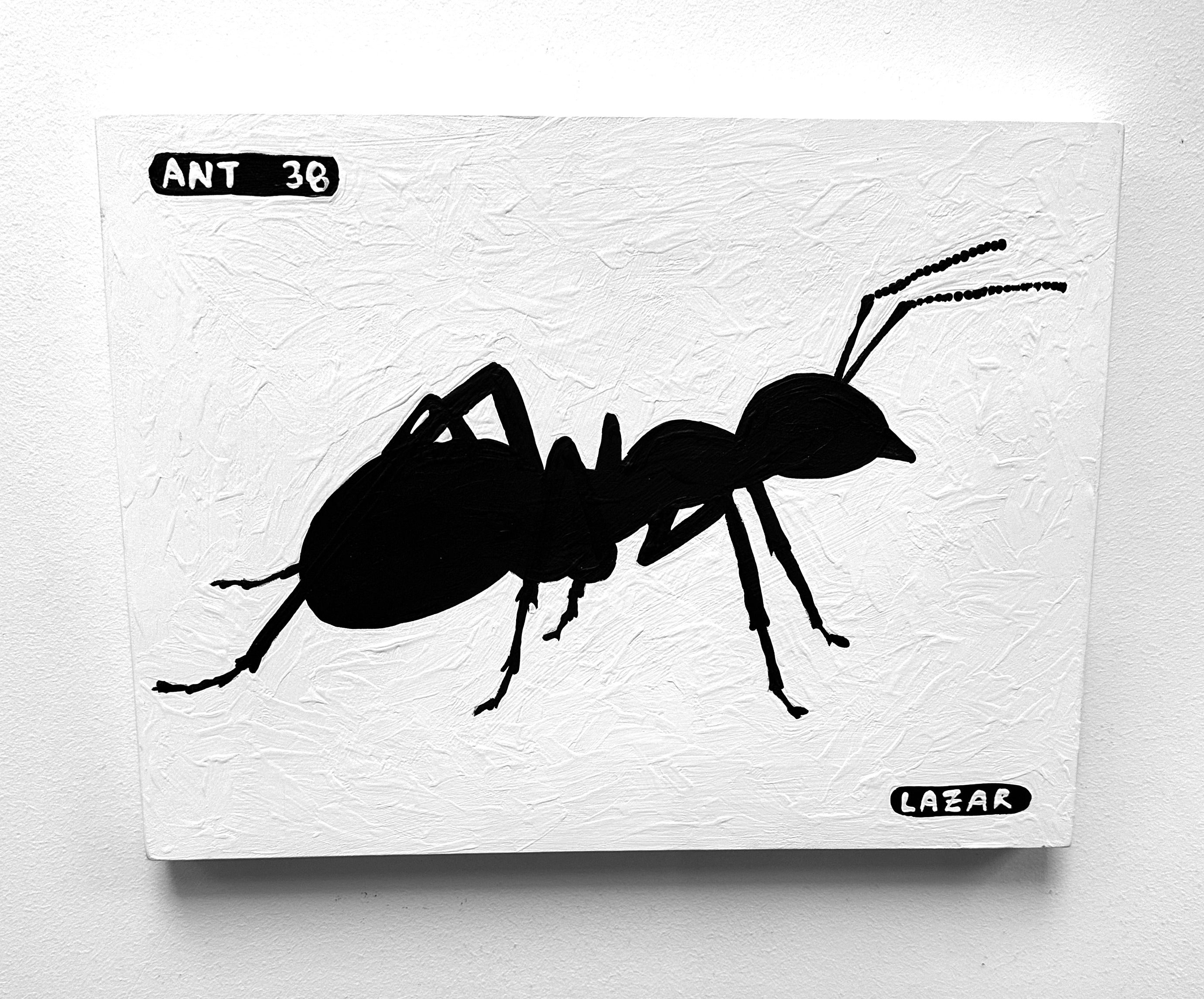 Ant #38