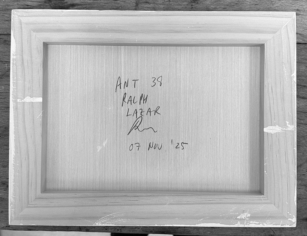 Ant #38