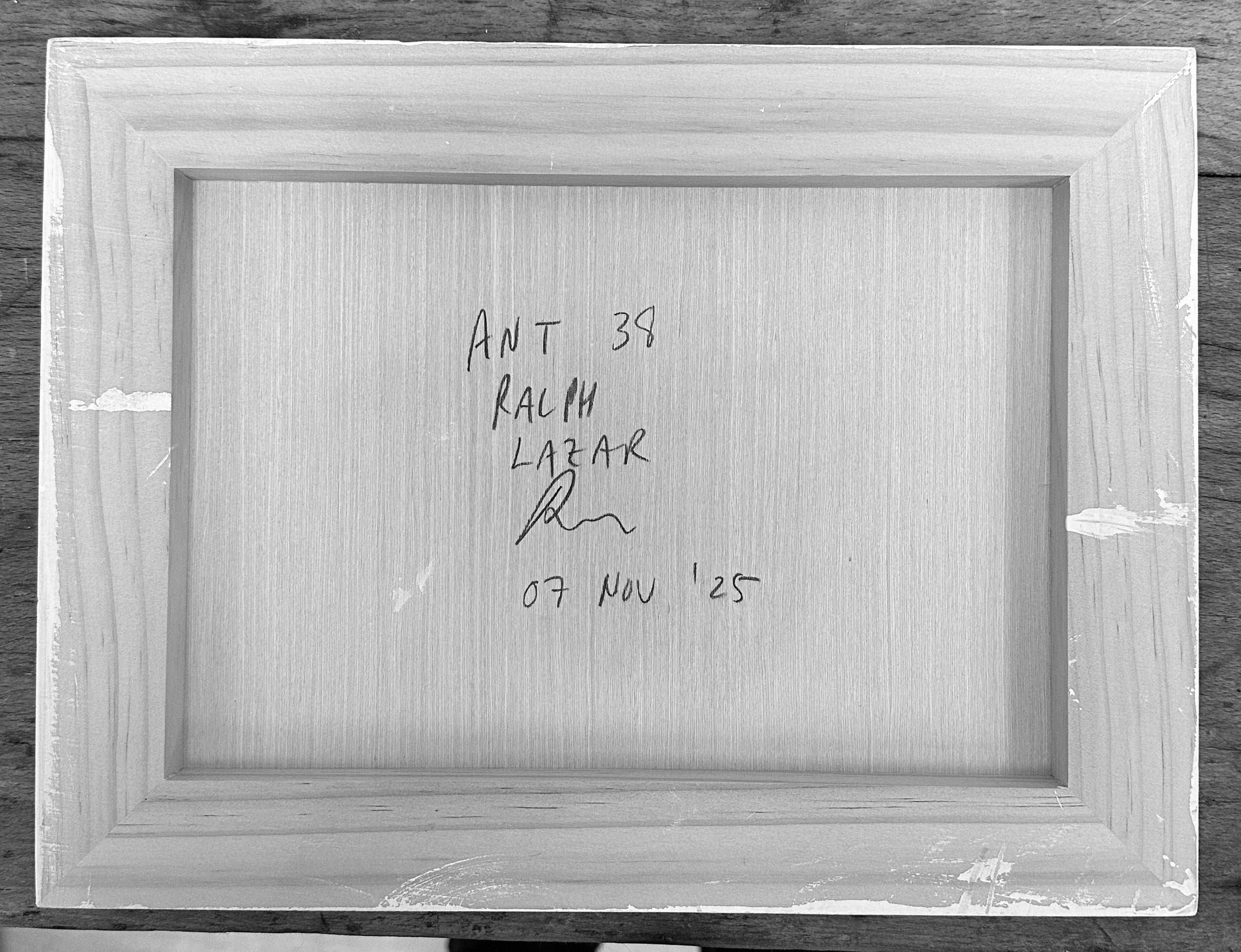Ant #38