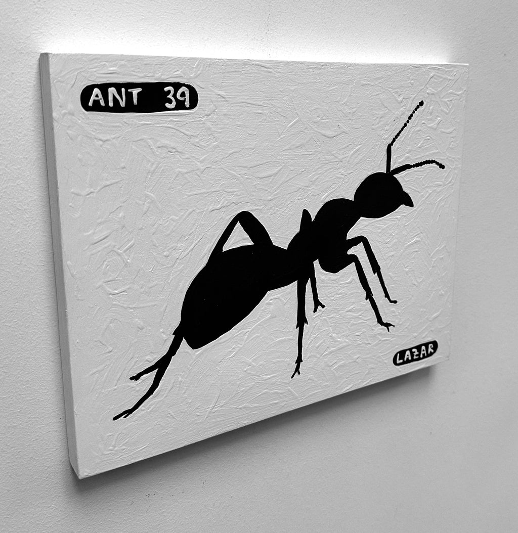 Ant #39