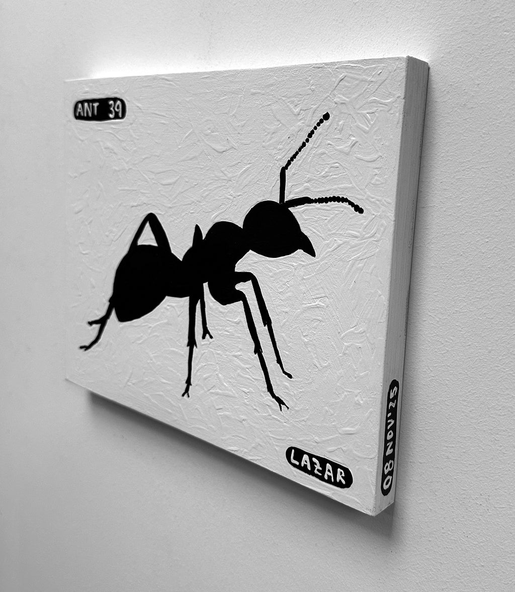Ant #39