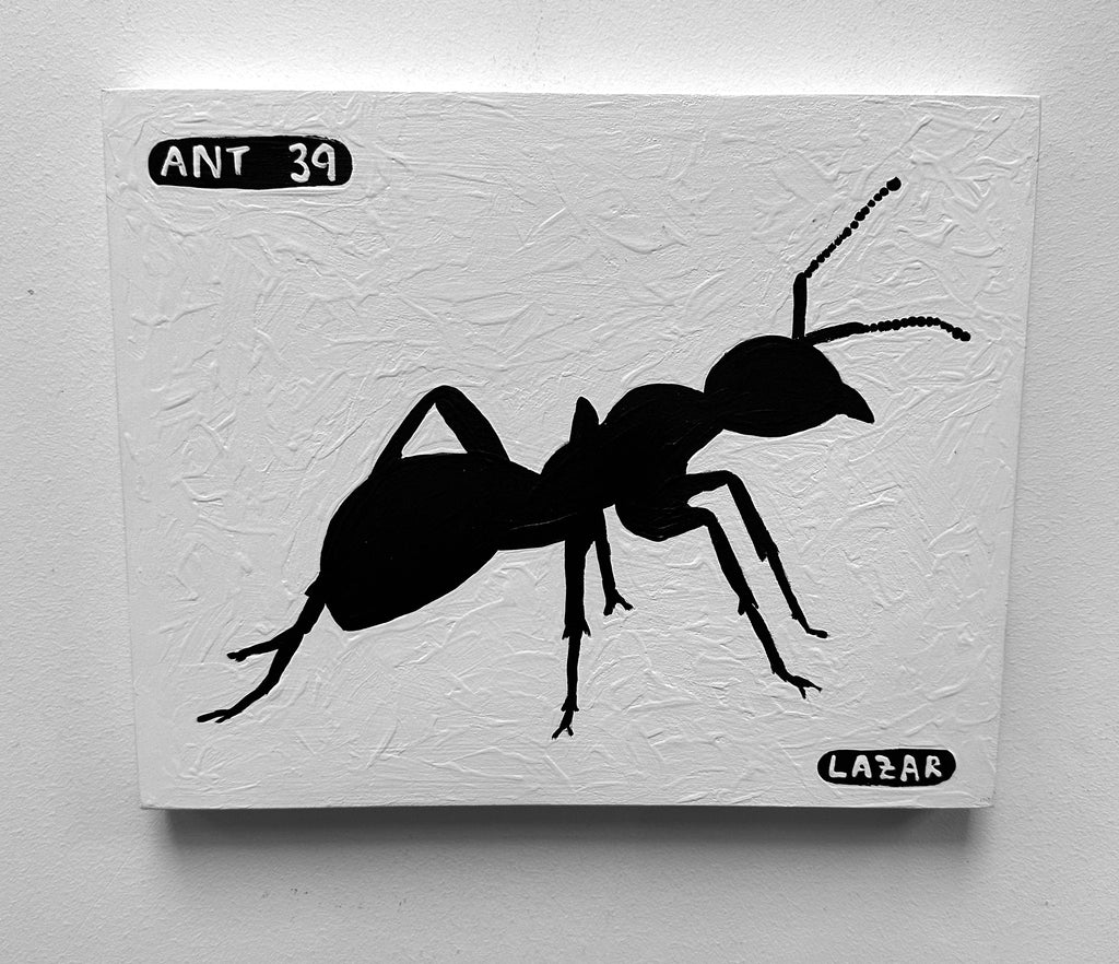 Ant #39