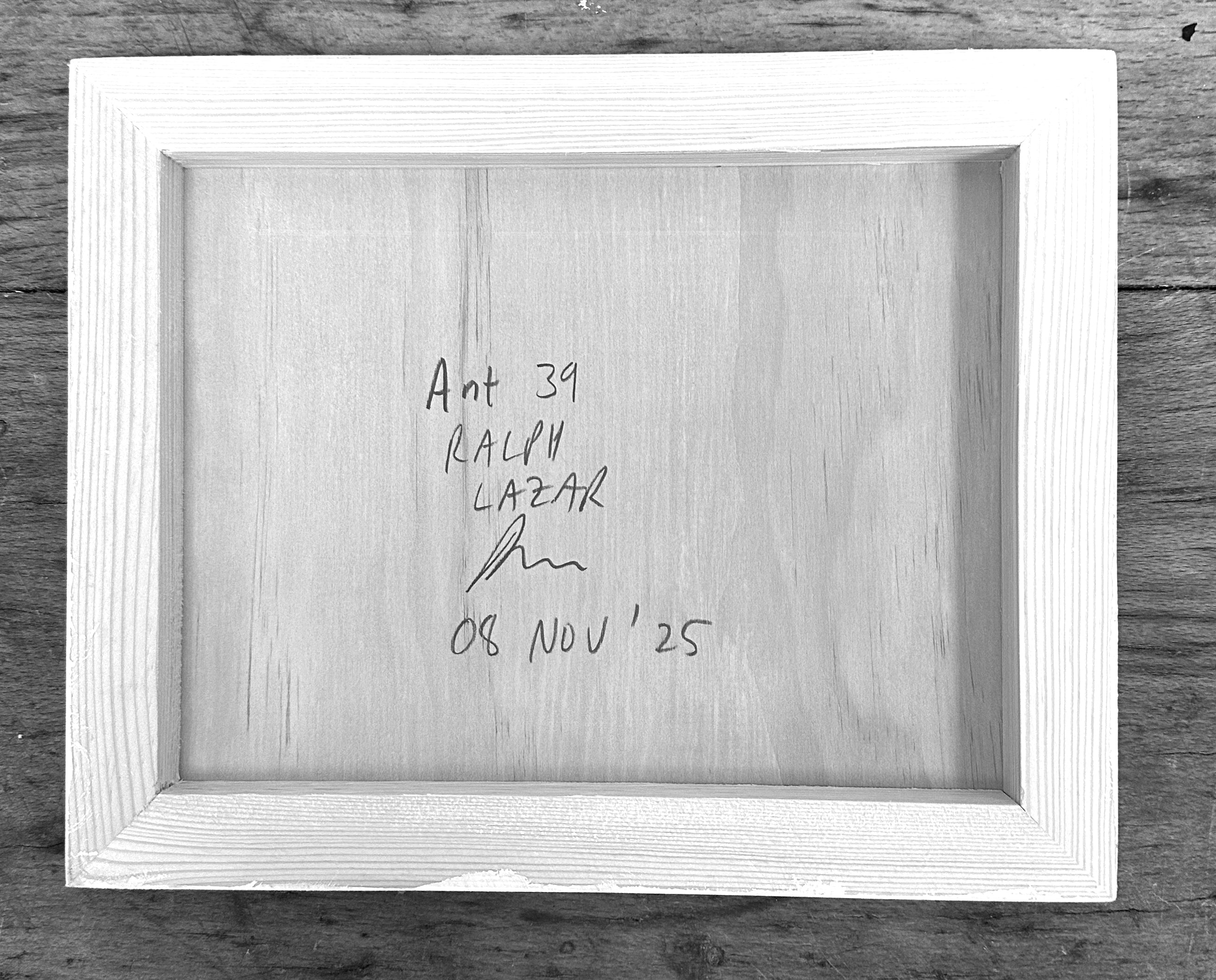 Ant #39