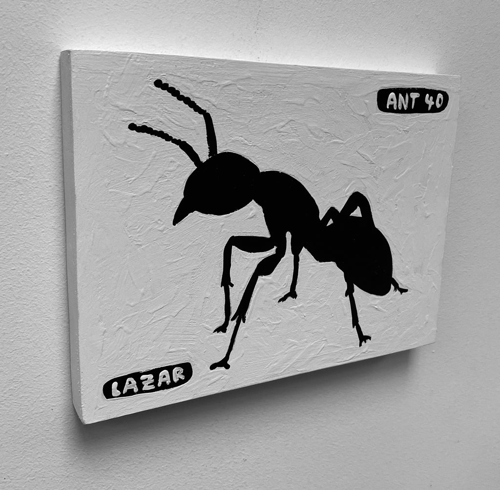 Ant #40