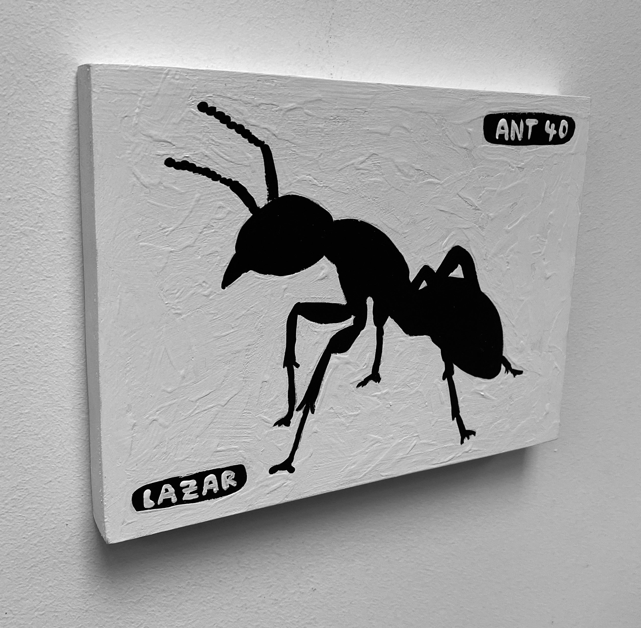 Ant #40