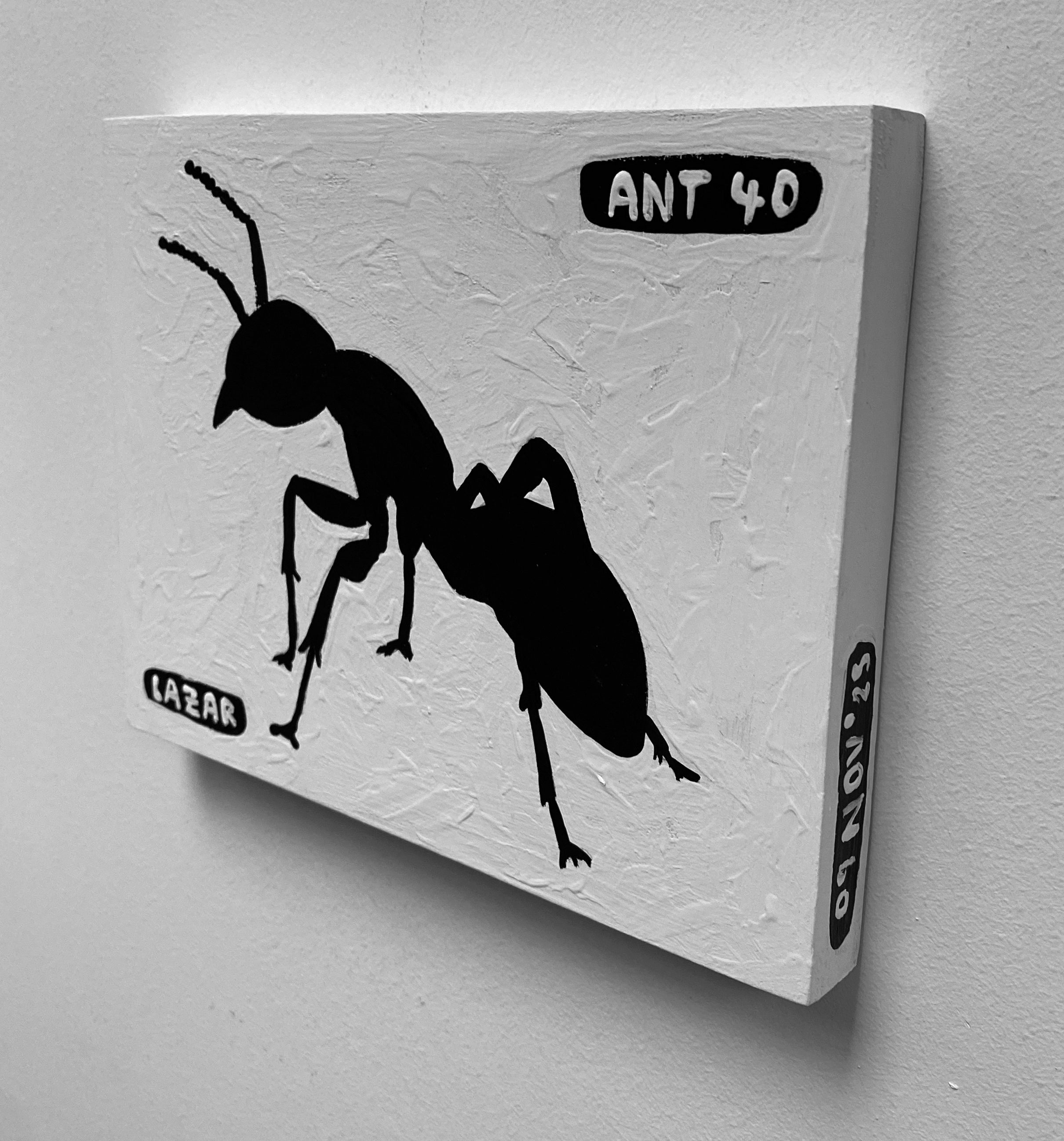 Ant #40