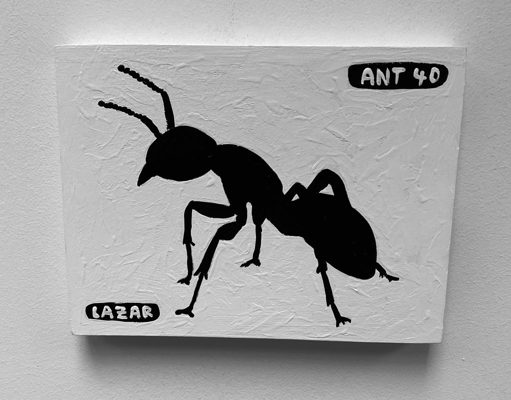 Ant #40