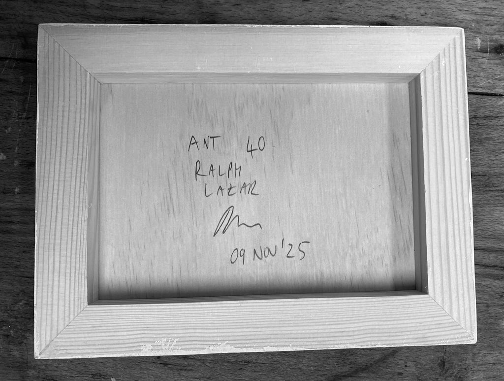 Ant #40