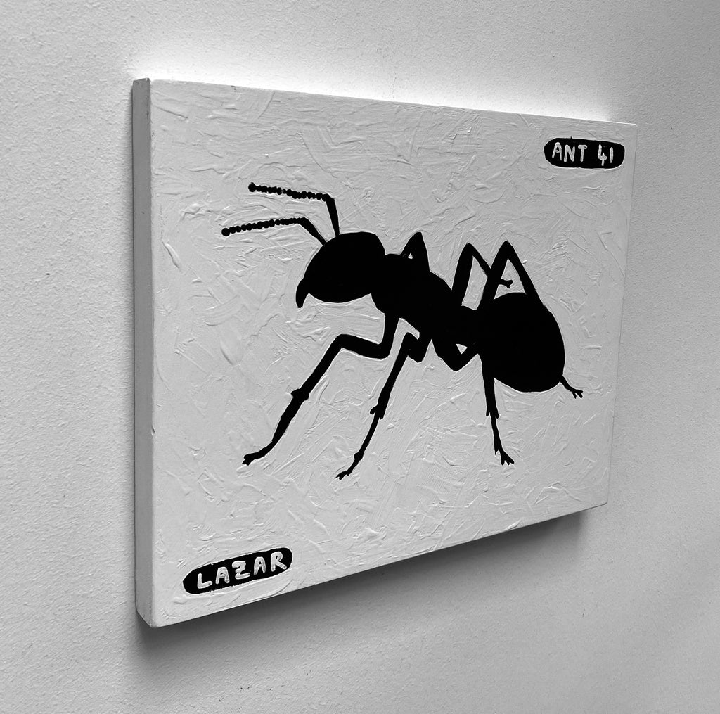 Ant #41