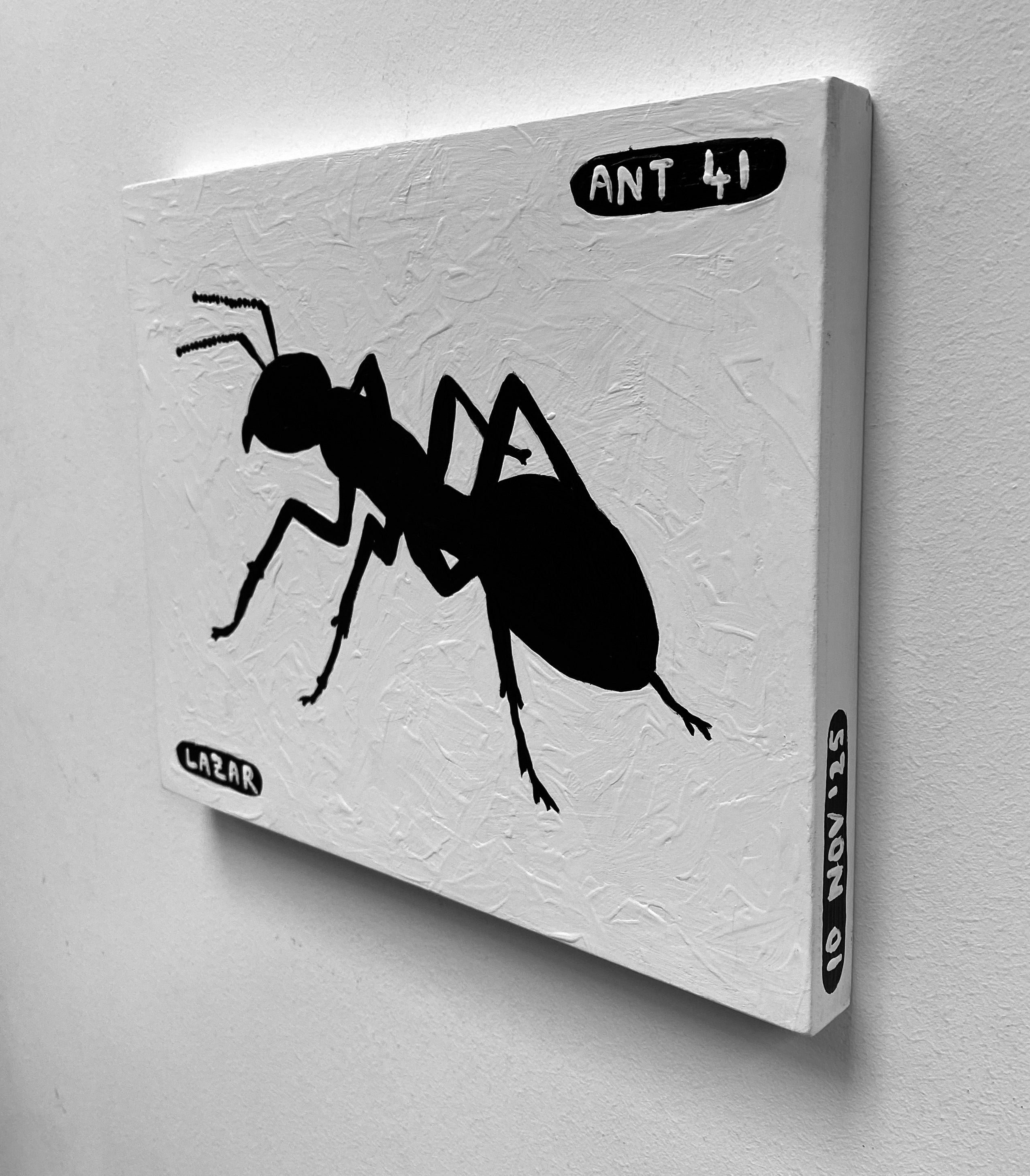 Ant #41