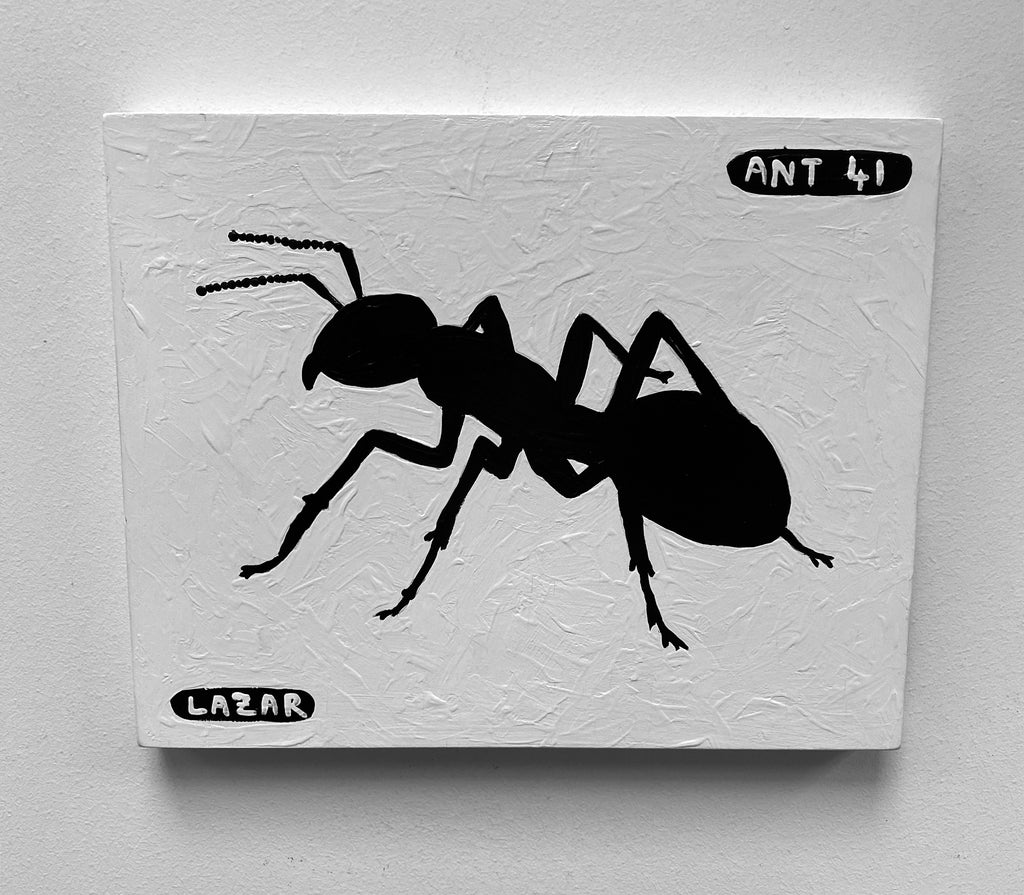 Ant #41