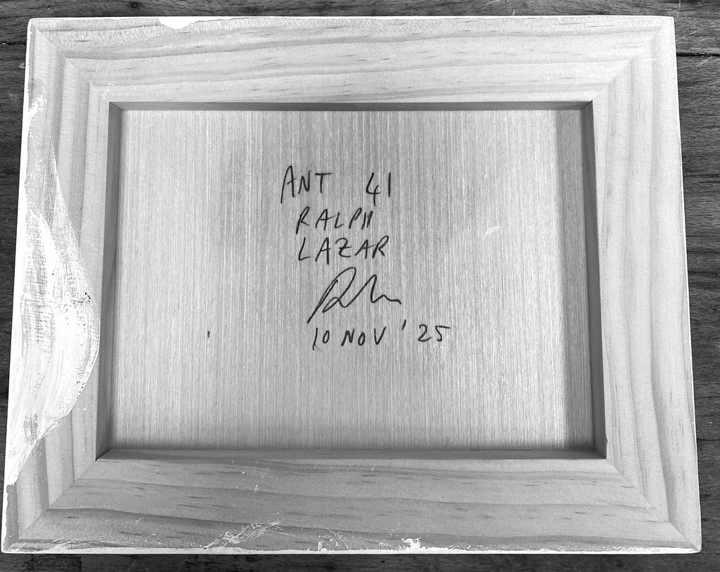 Ant #41