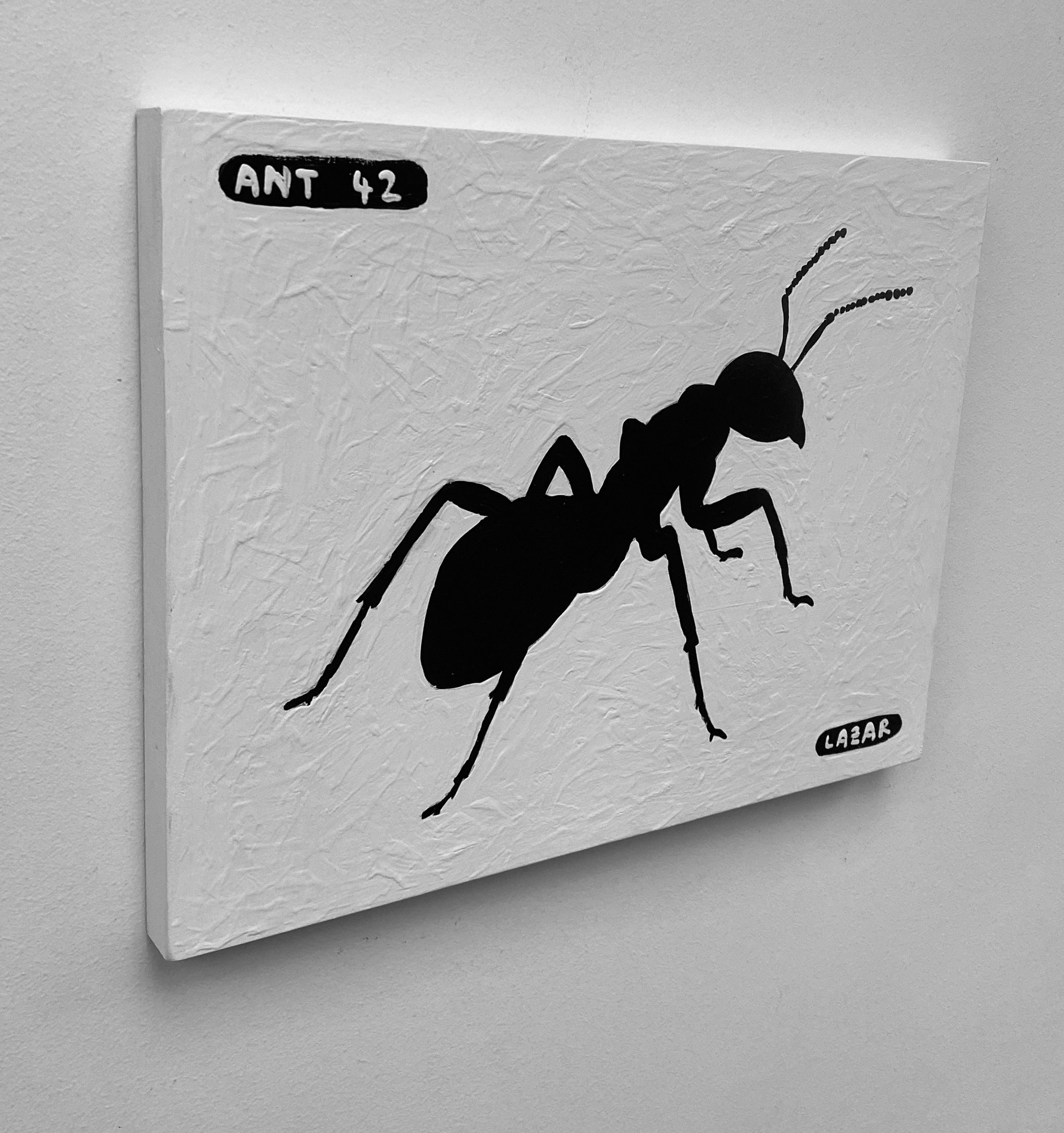 Ant #42