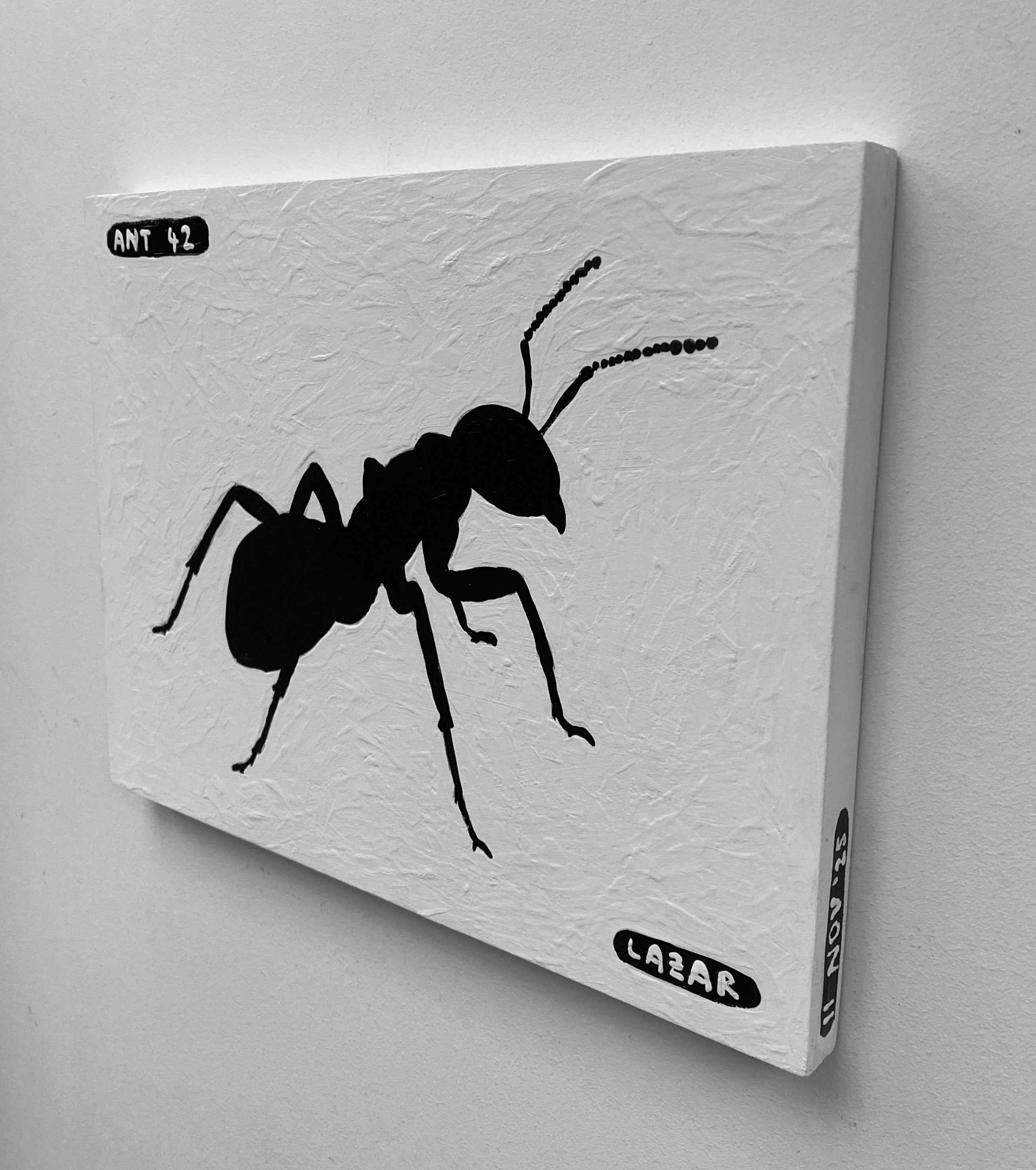 Ant #42