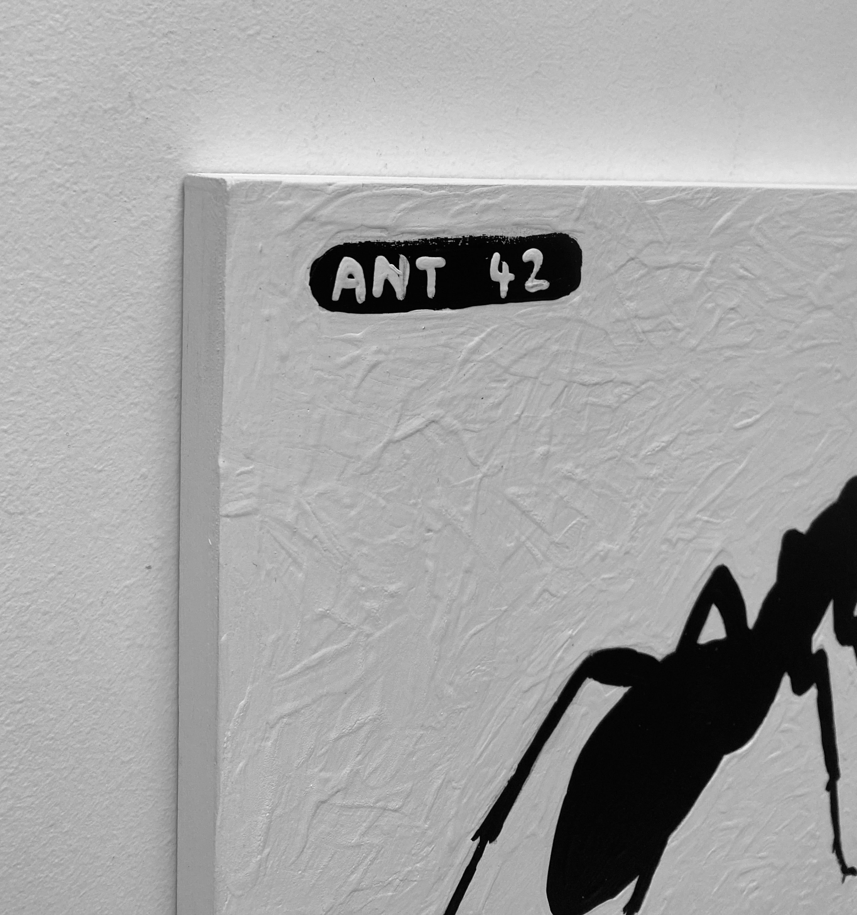 Ant #42