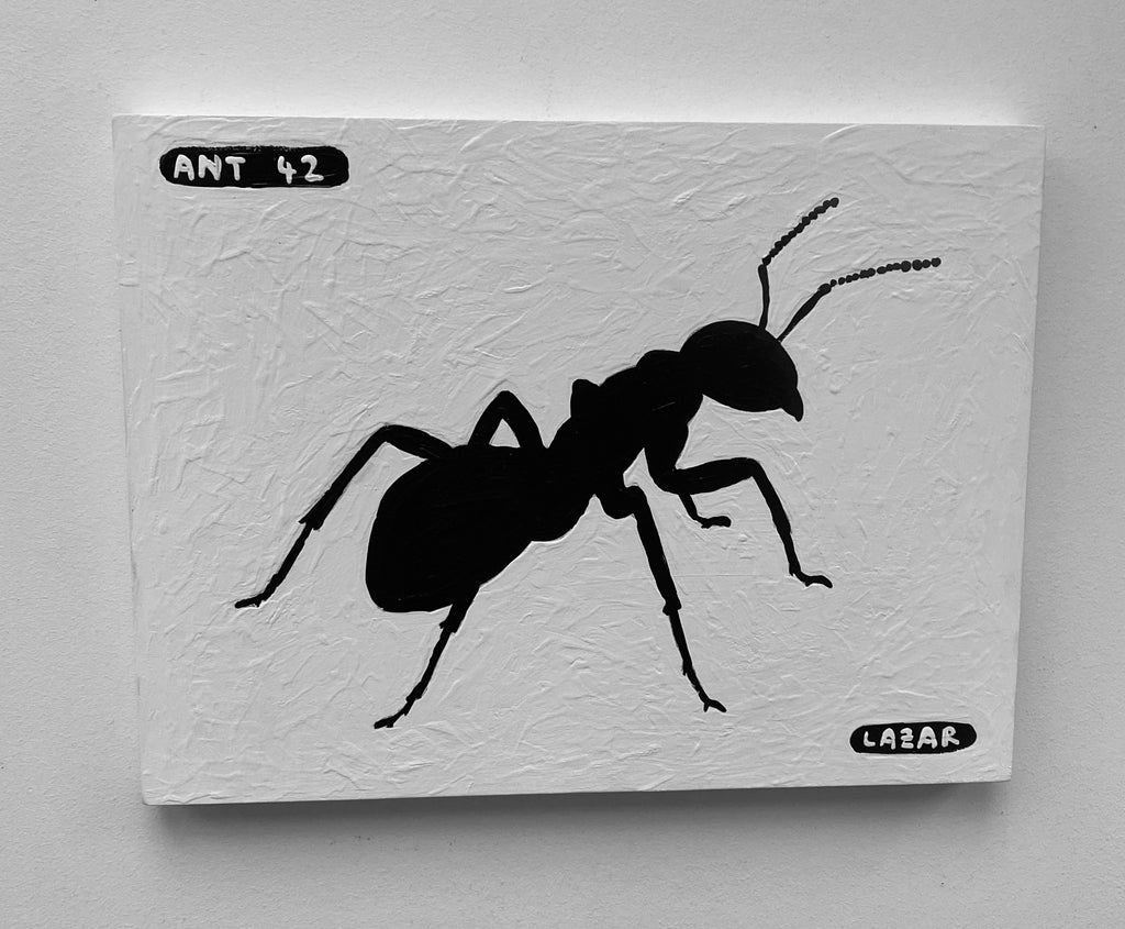 Ant #42