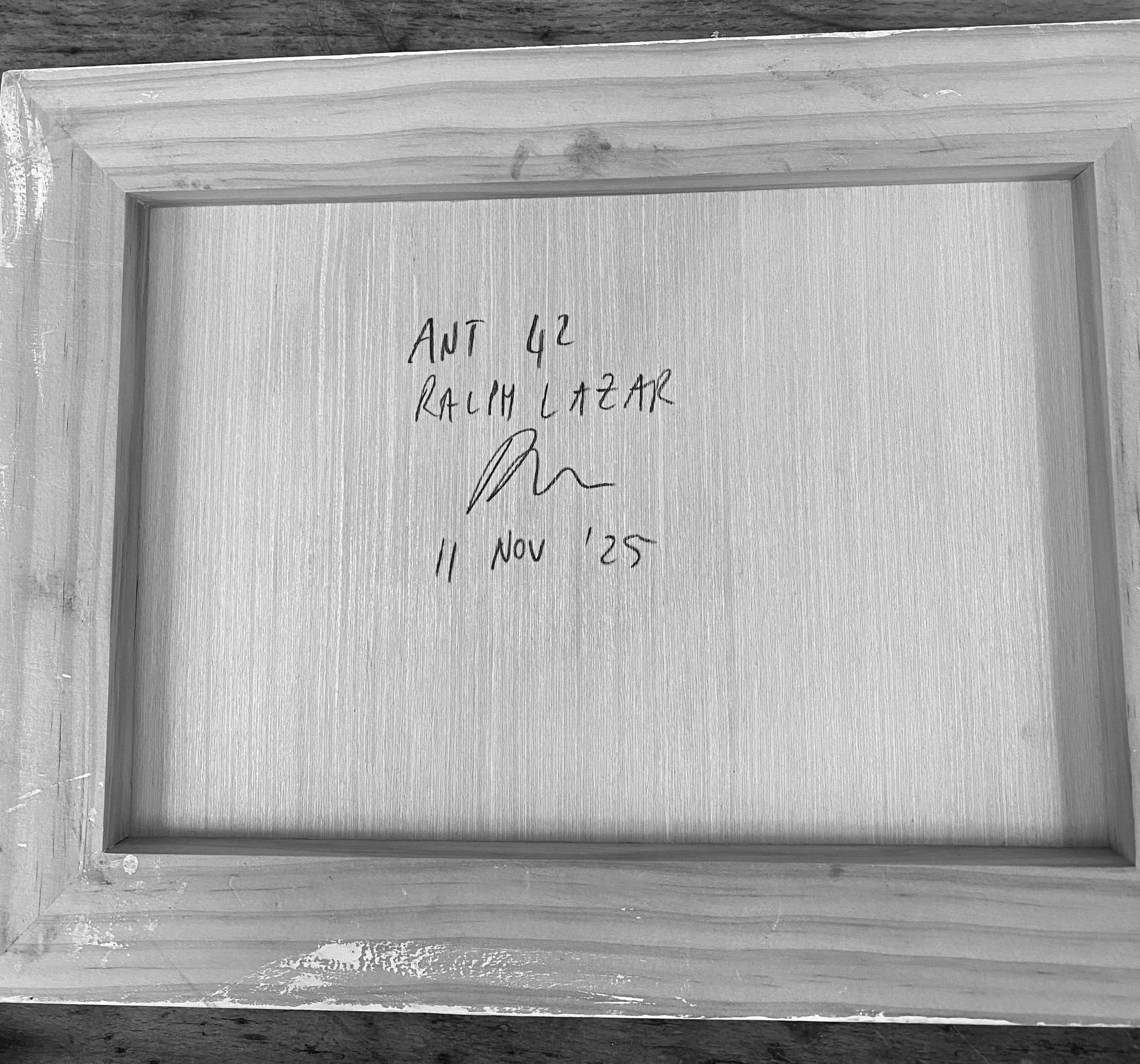 Ant #42