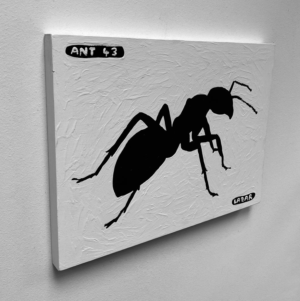 Ant #44