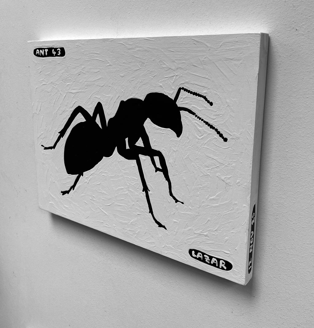 Ant #44