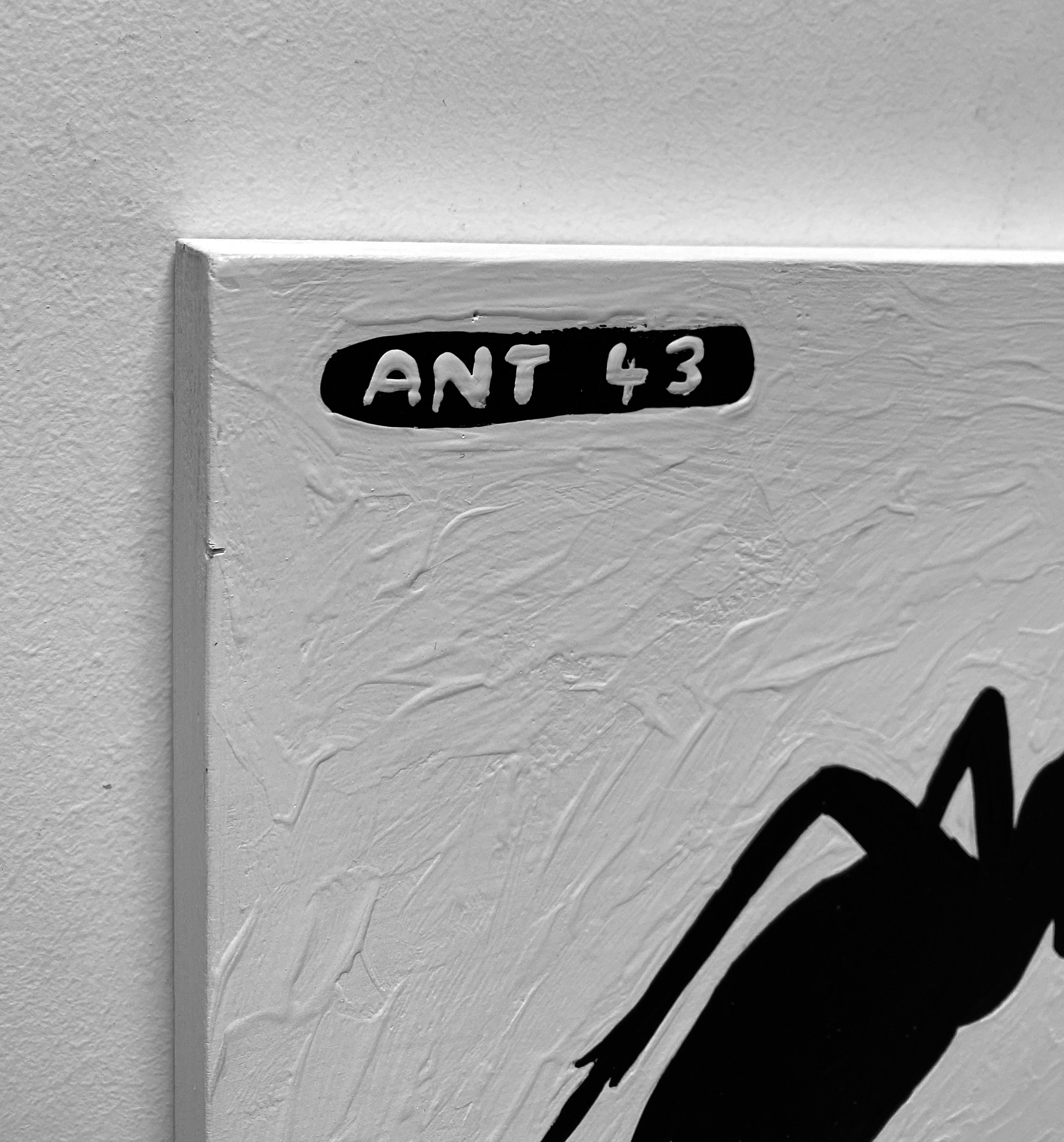 Ant #44