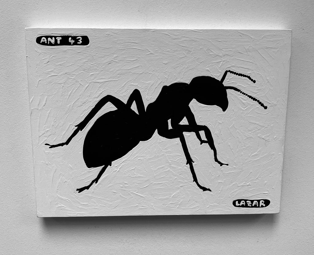Ant #44