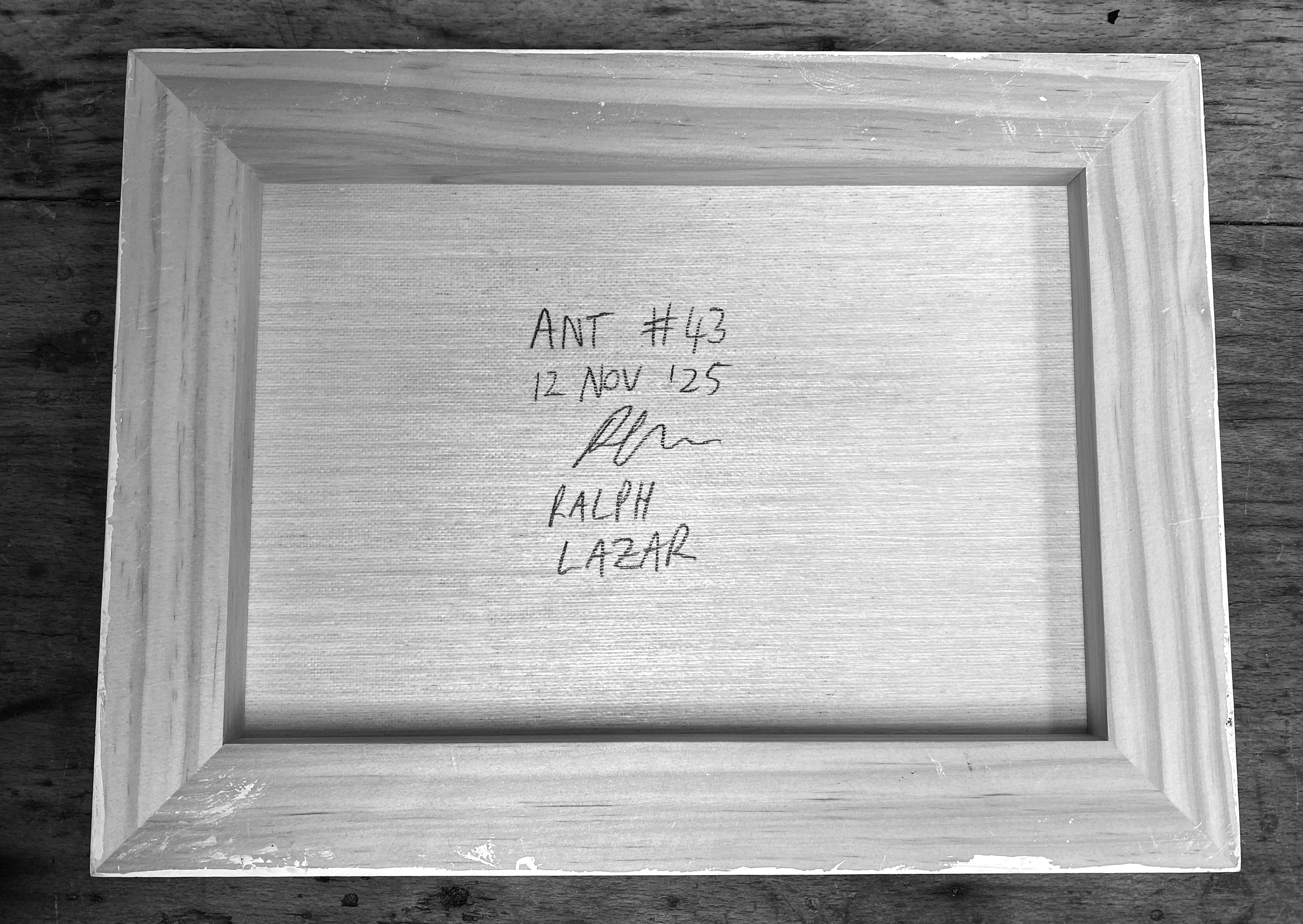 Ant #44