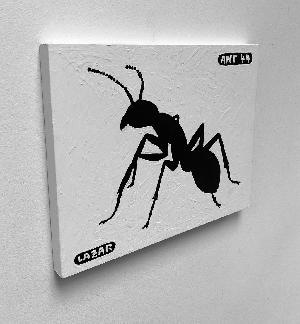 Ant #44
