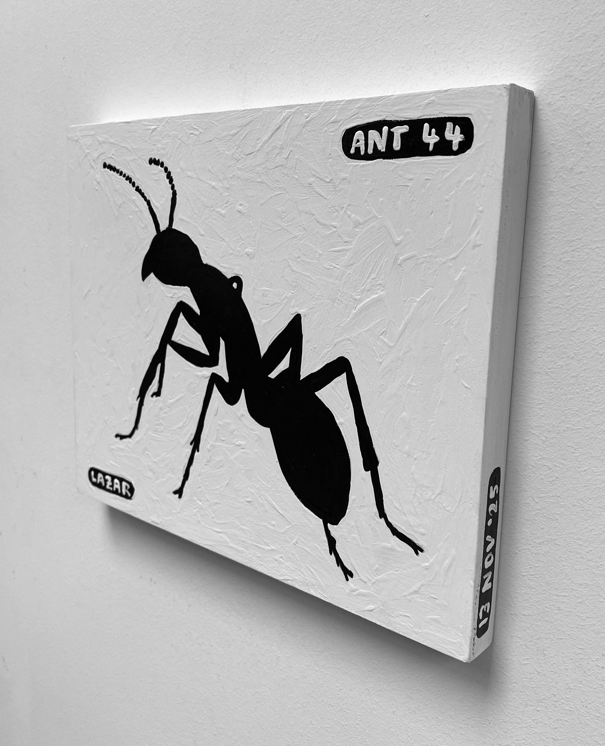Ant #44