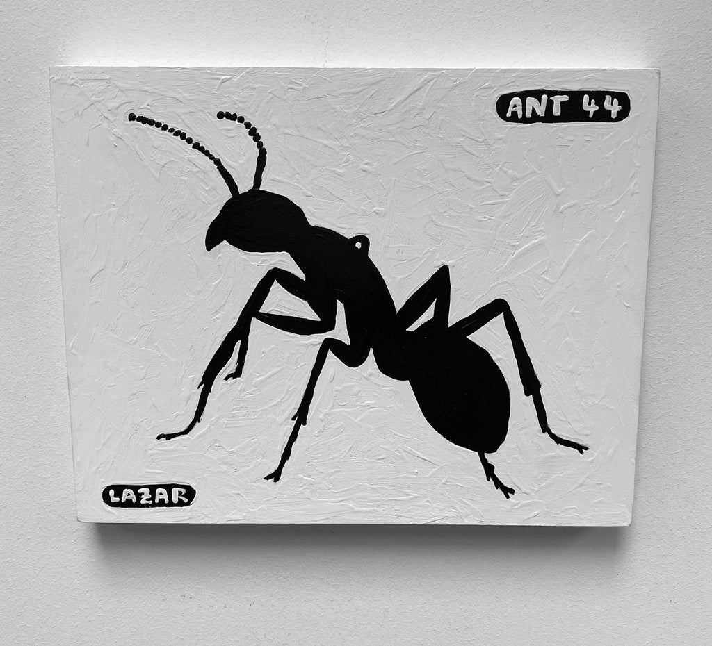 Ant #44