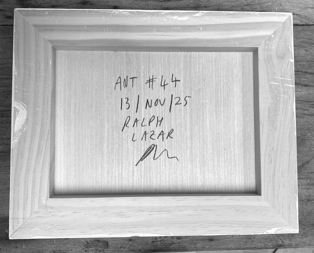 Ant #44