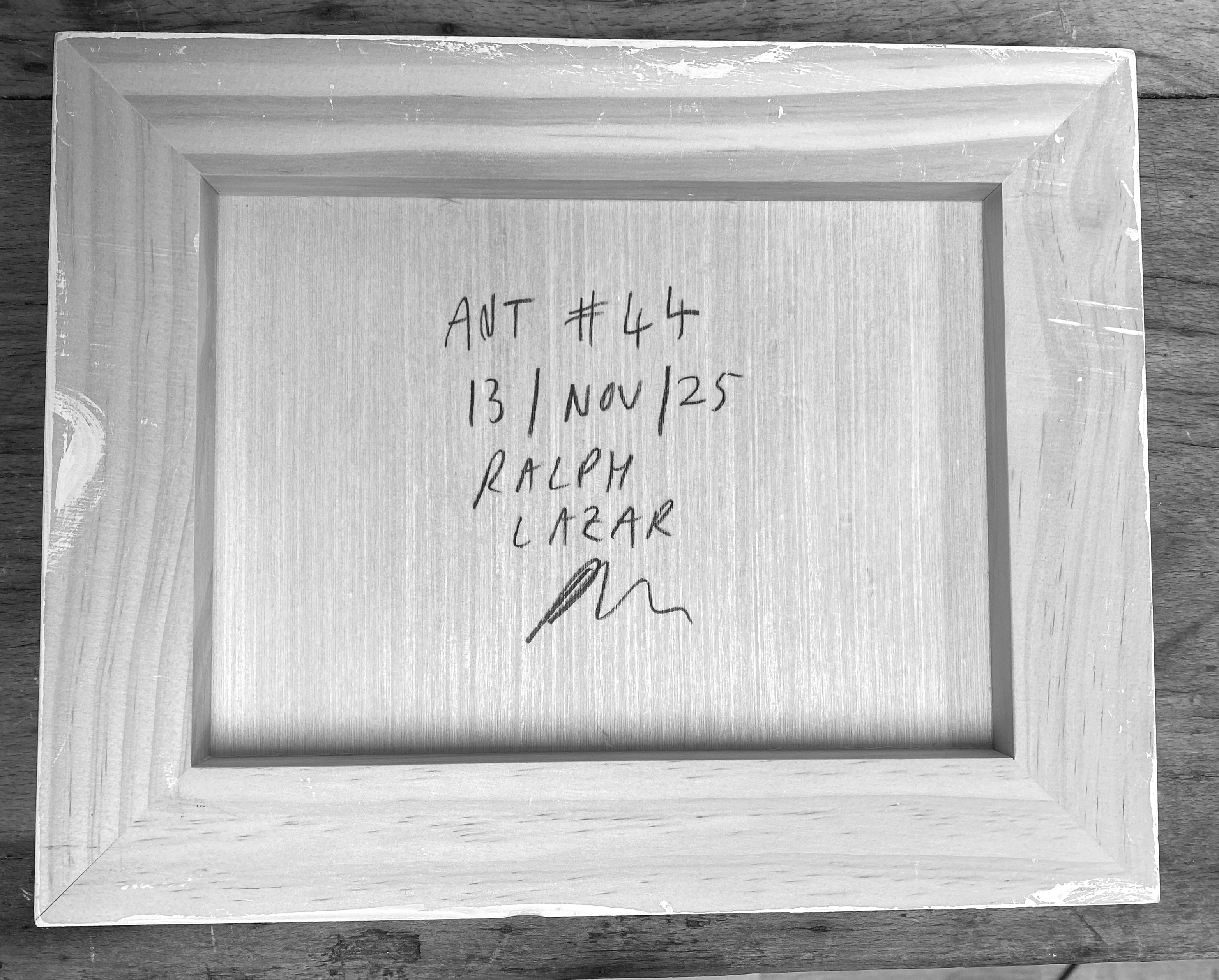 Ant #44