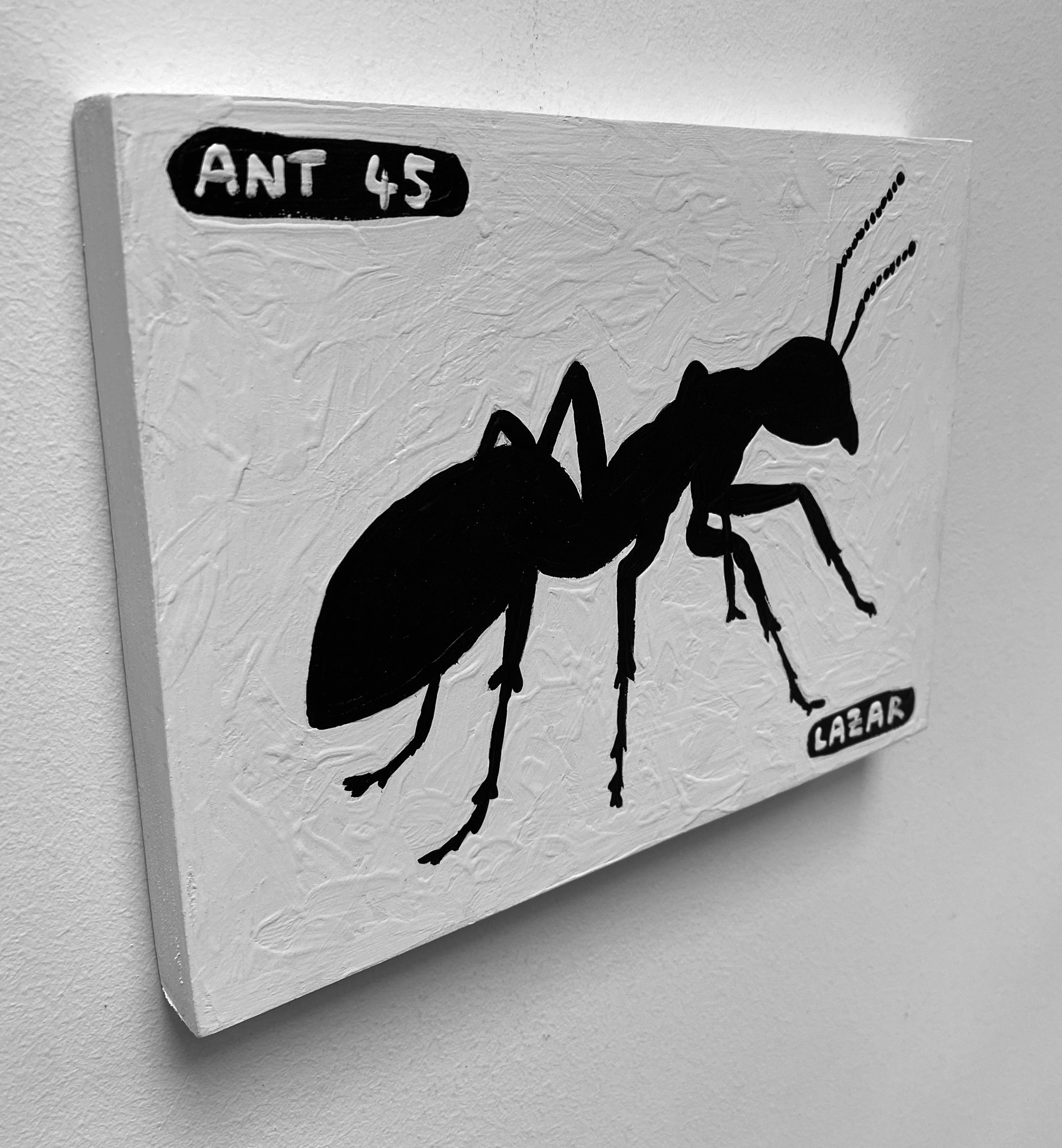 Ant #45