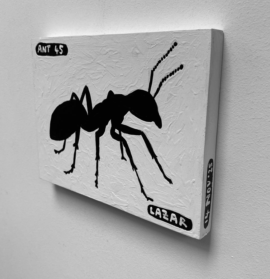 Ant #45
