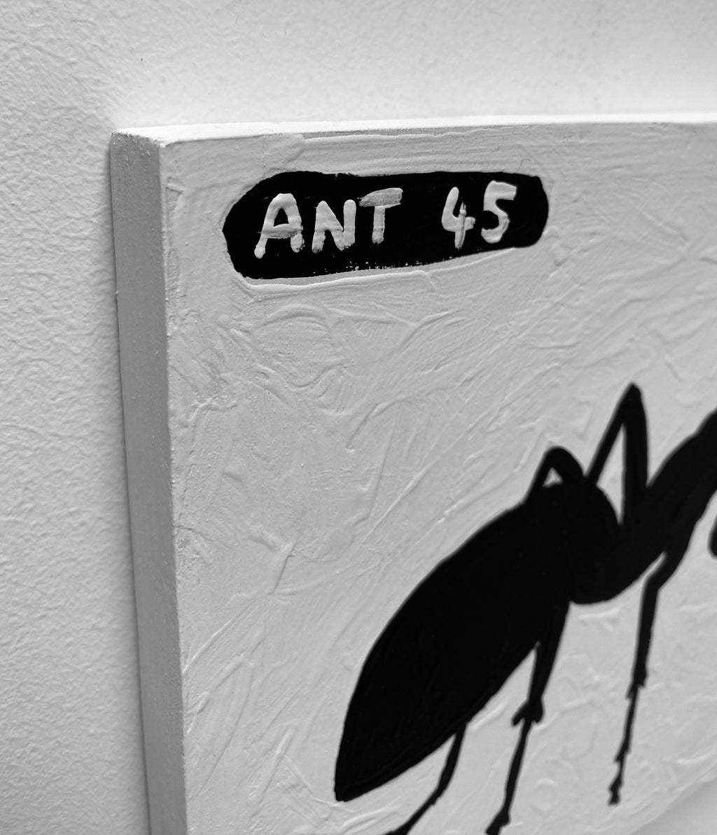 Ant #45