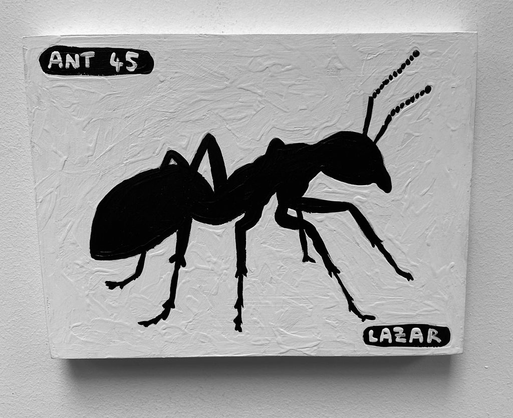 Ant #45