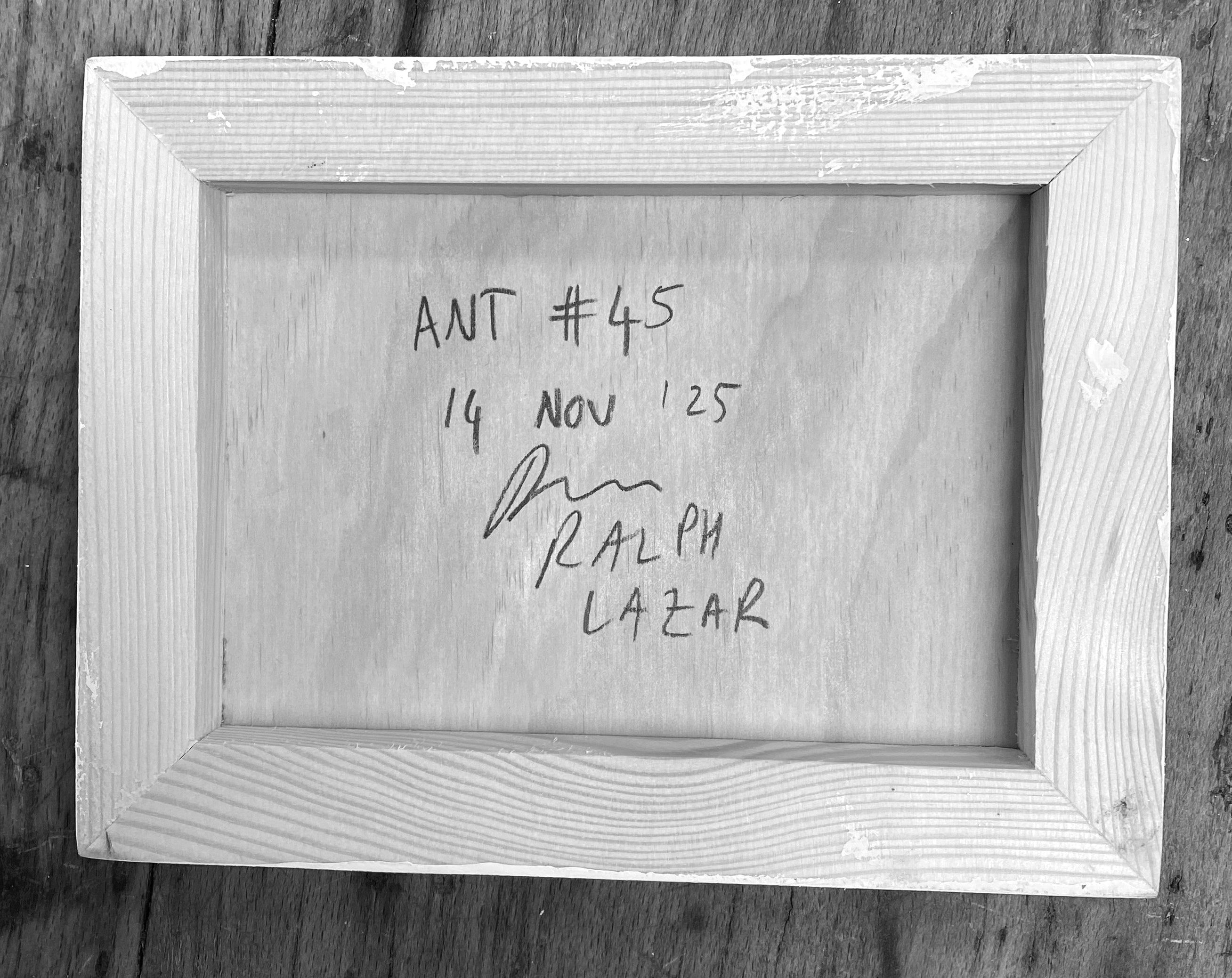 Ant #45