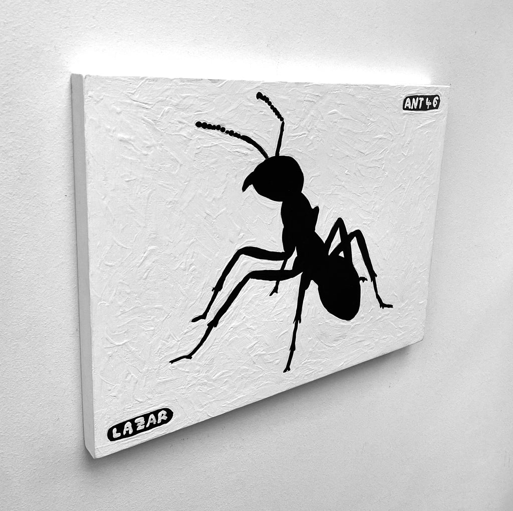 Ant #46