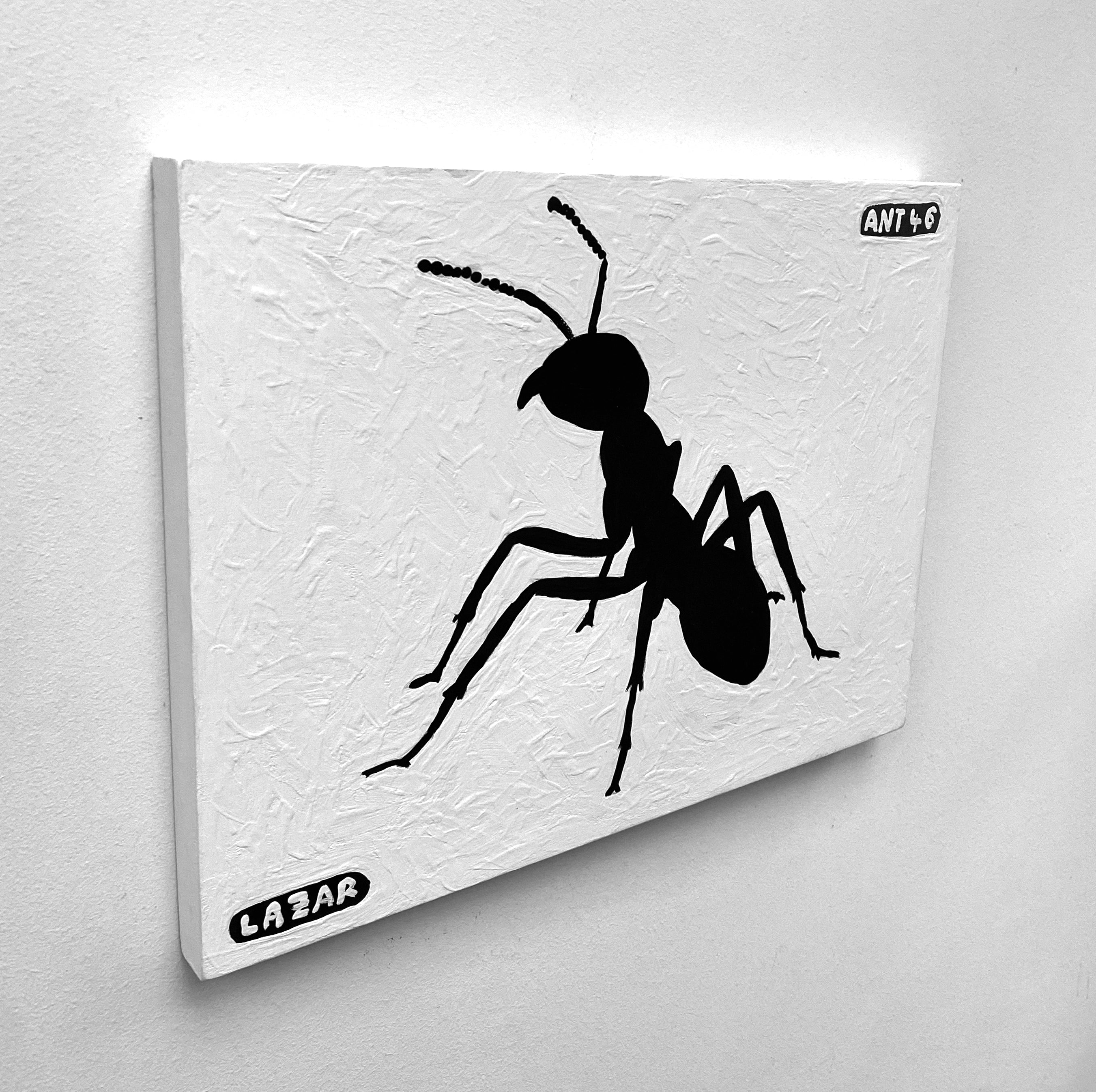 Ant #46
