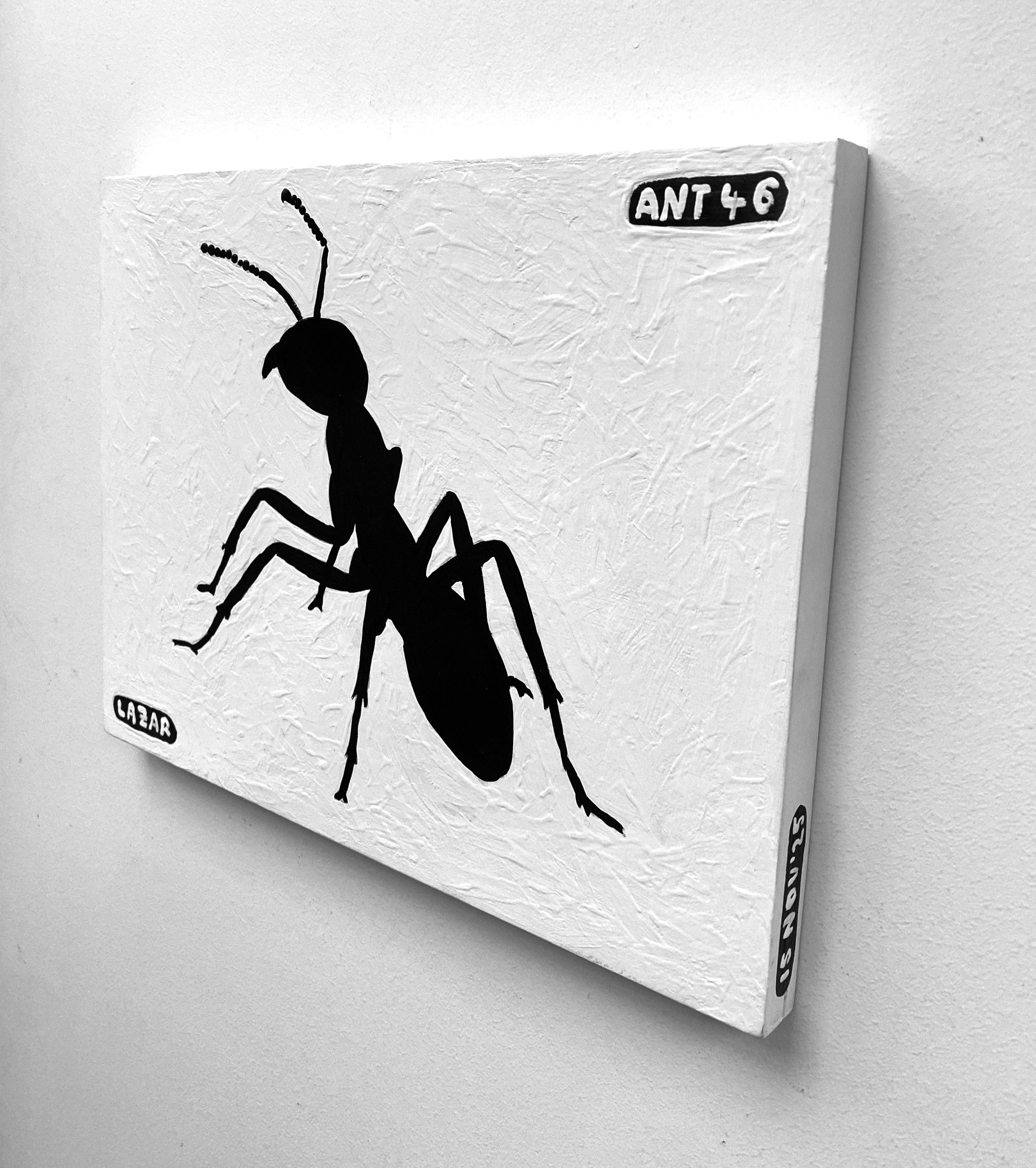 Ant #46