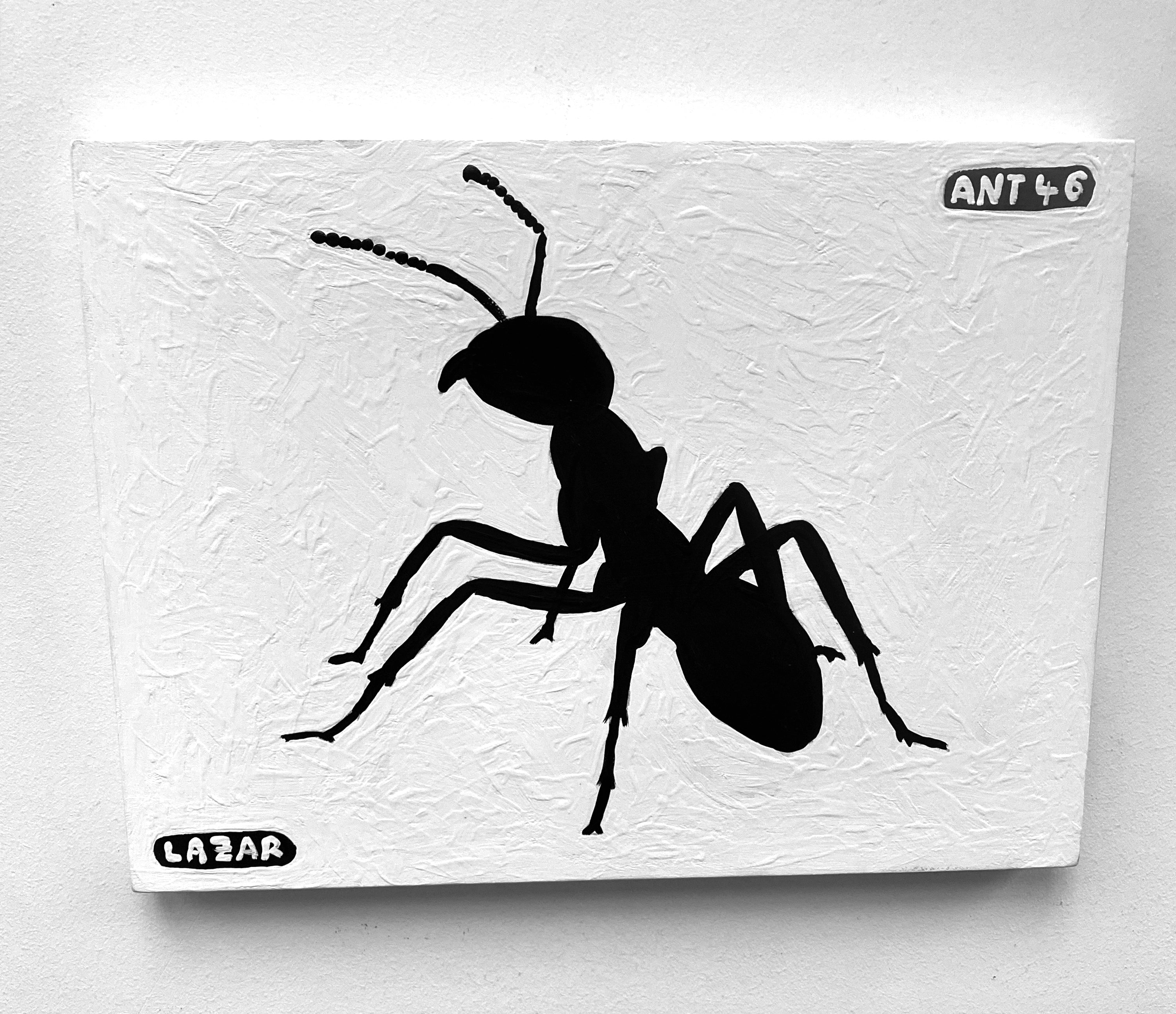 Ant #46