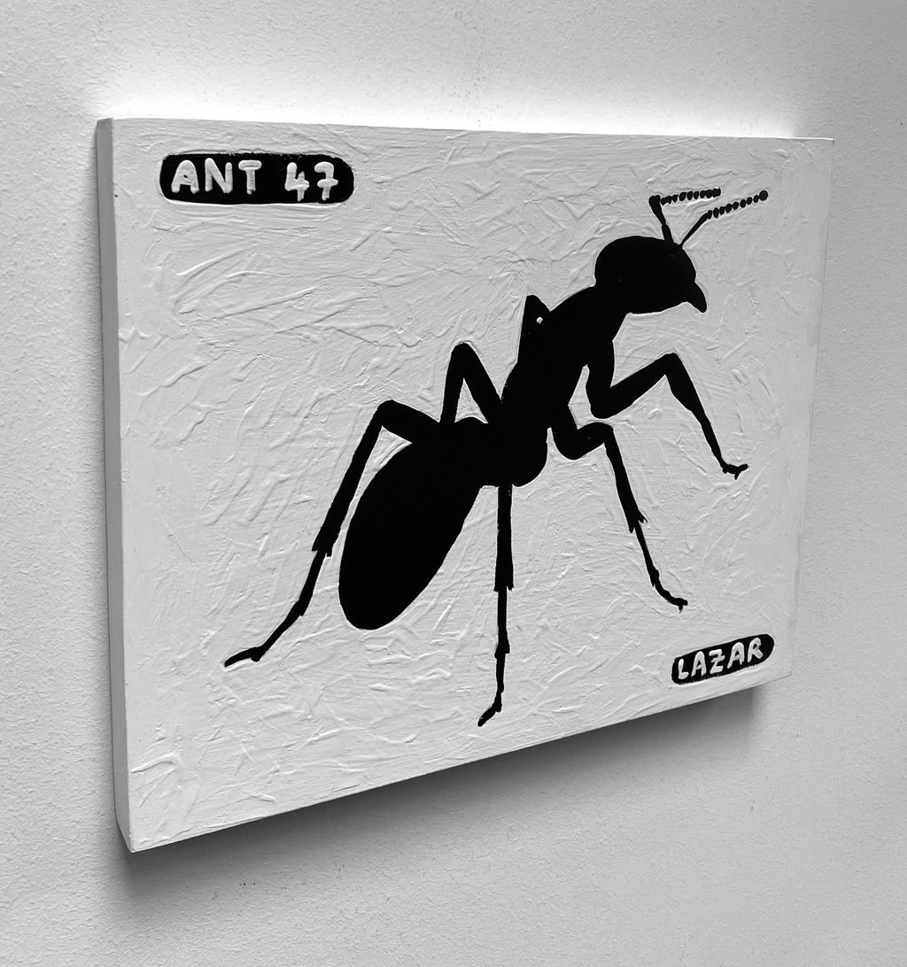 Ant #47