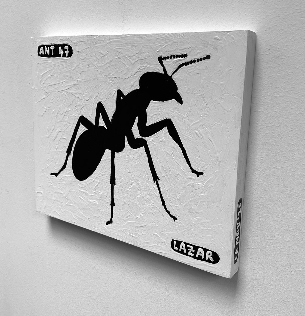 Ant #47