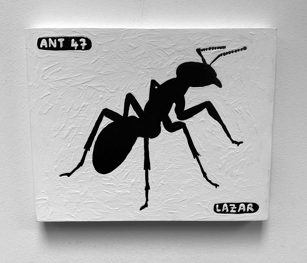 Ant #47