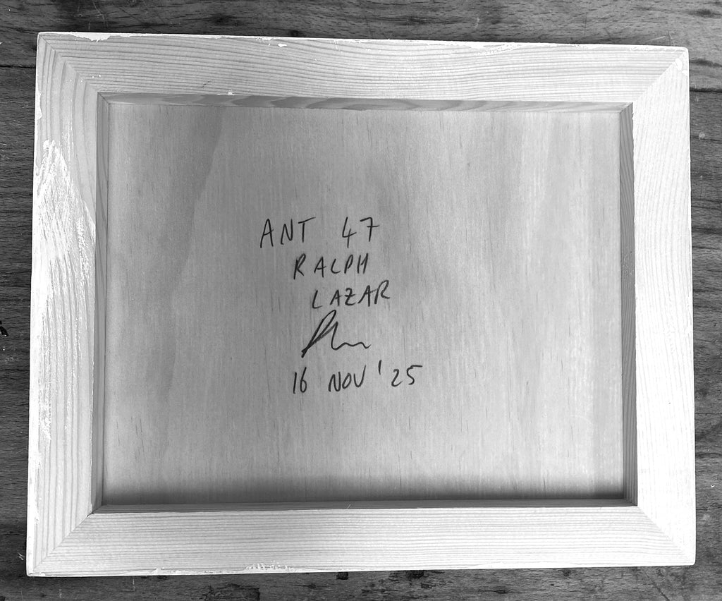 Ant #47