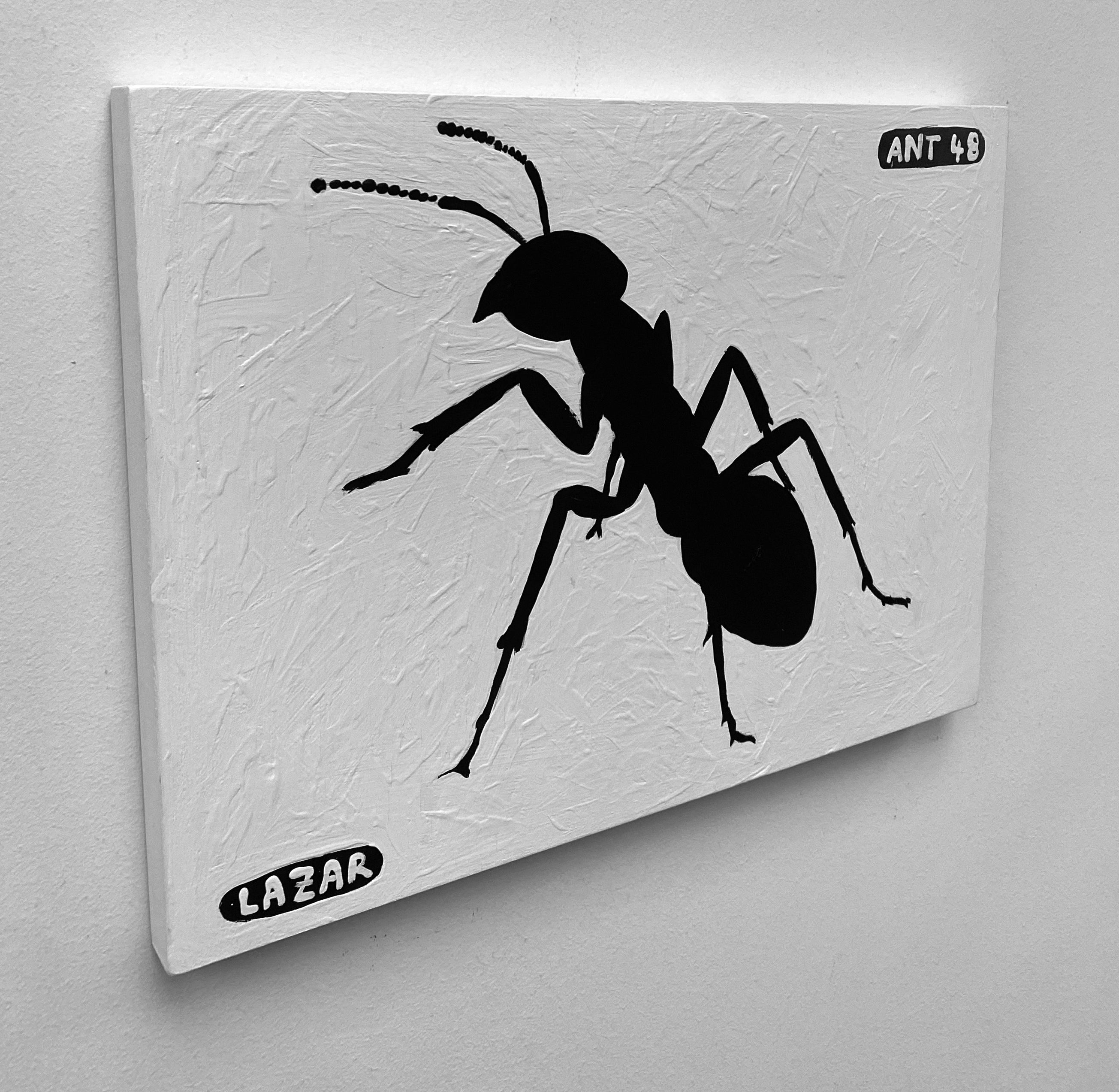 Ant #48